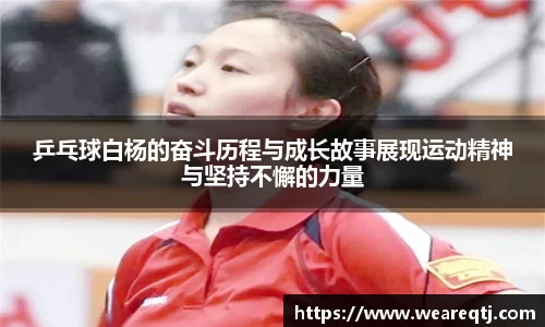 乒乓球白杨的奋斗历程与成长故事展现运动精神与坚持不懈的力量