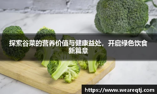 OETY欧亿体育全站