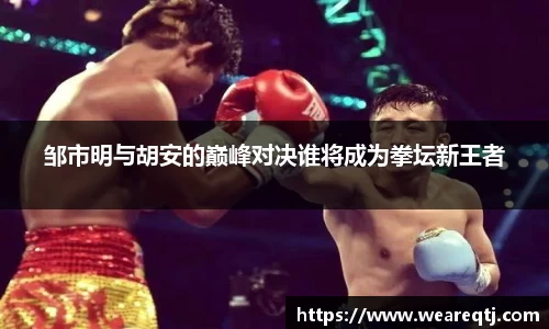 OETY欧亿体育网站
